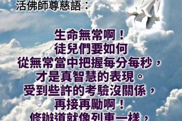 命的意义：在日常生活中寻找生命的真谛与价值