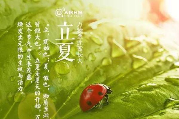 路旁土命立夏戴什么？教你找到专属的护身符！