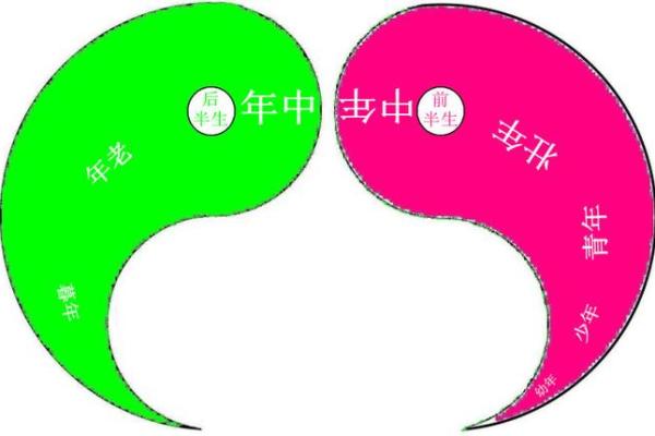 探秘命理：解析女命婚姻的奥秘与幸福密码