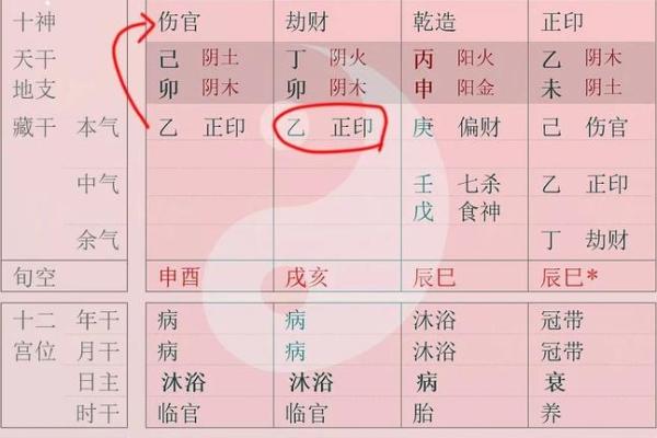 女命八字中食神为忌的独特解析与影响