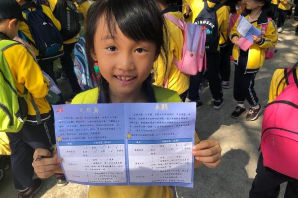 探寻女孩命带天罡的奥秘与人生哲学