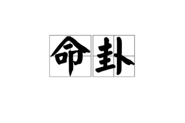 命卦坤：探索大地之母的智慧与力量