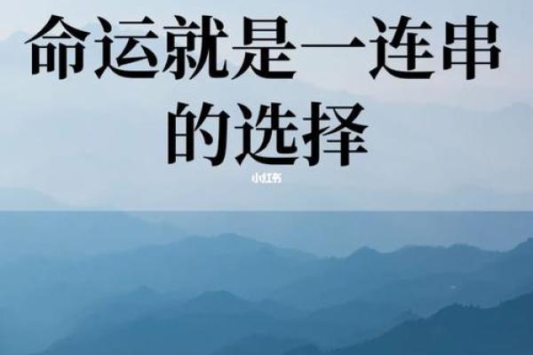 命运的转折：从“没得皇后”看人生的追求与选择