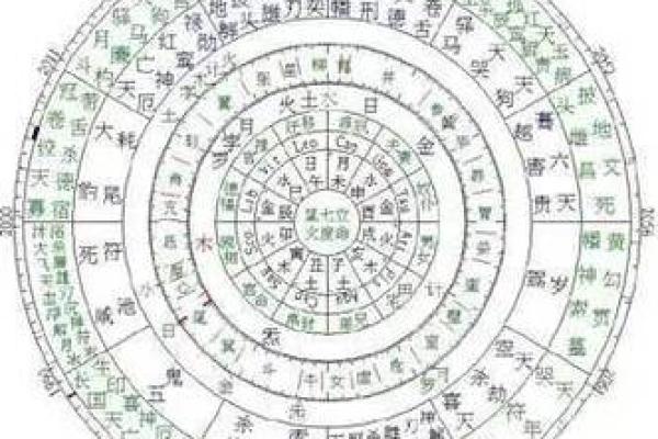水二局命理解析：揭秘命局中的深意与潜能
