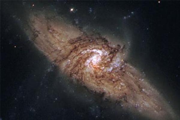 命带福德星：揭示你人生中的福气与机遇之星的秘密