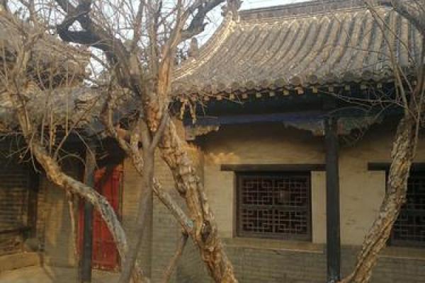 探寻木命之道：如何发挥木命的最大优势