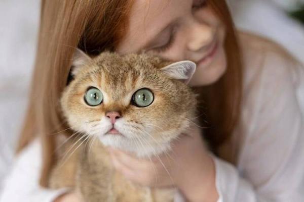 猫姐揭秘：为什么传说中猫有九条命？