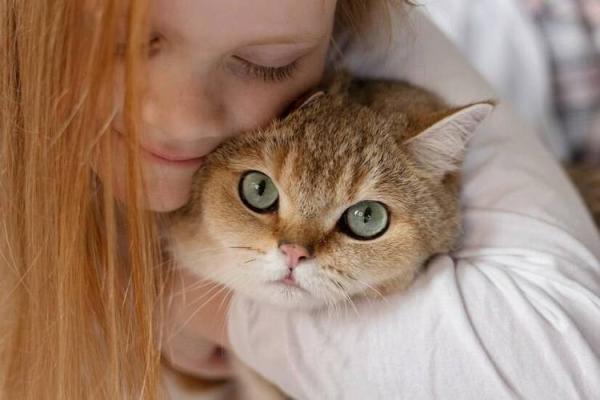 猫姐揭秘：为什么传说中猫有九条命？