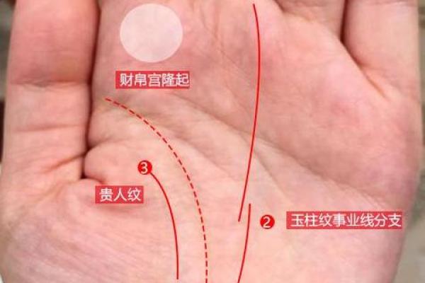 探秘马字的生辰八字，揭示命运的奥秘与人生轨迹