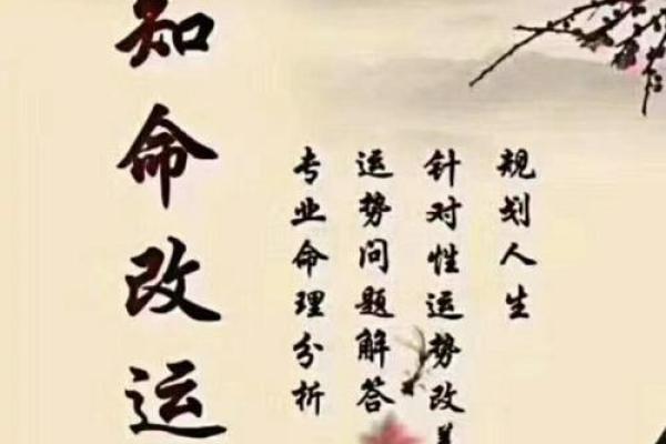 探秘女具血财旺相之命：揭示命理背后的深层含义与人生启示