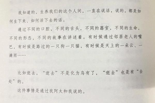 探索命格中的四个印象：人生命运的密码与启示