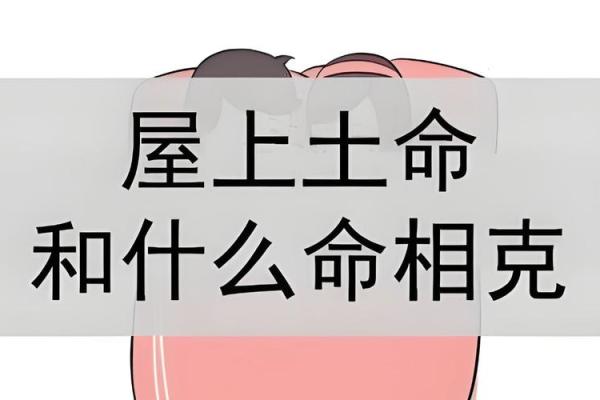 年土命与日木命的奇妙结合：命理解密与人生启示
