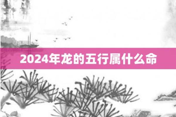 龙年出生的人：五行命理解析与生活建议