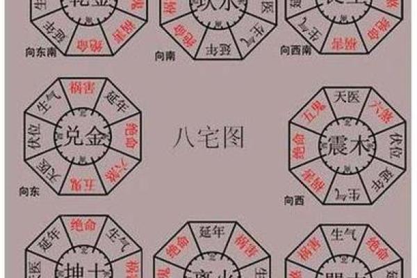 探秘命理学：东四命的深意与生活启示