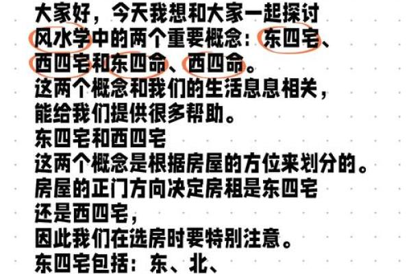 探秘命理学：东四命的深意与生活启示