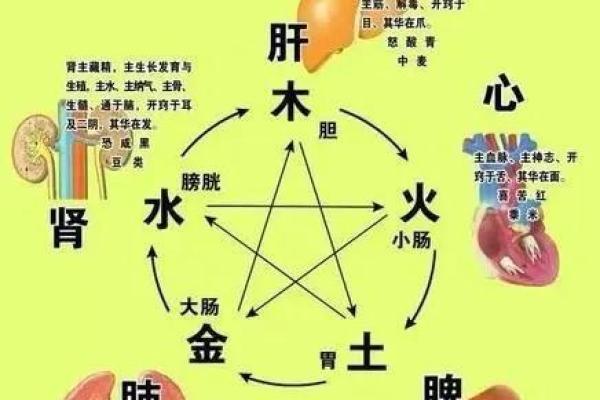木命人五行缺什么？揭开五行之谜，助你追寻生命的平衡！