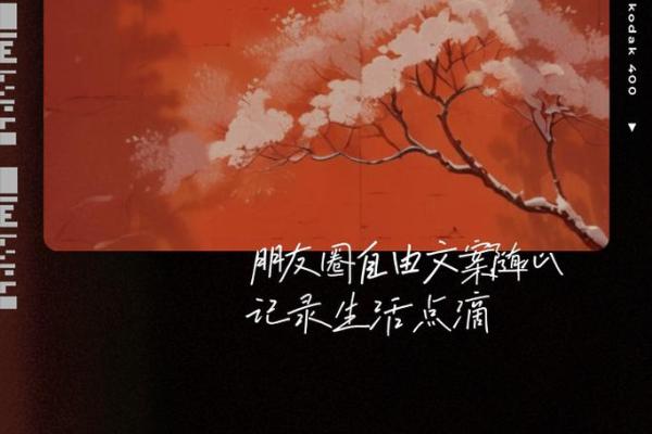 命里有我不油天，探寻人生中的命运与自由选择