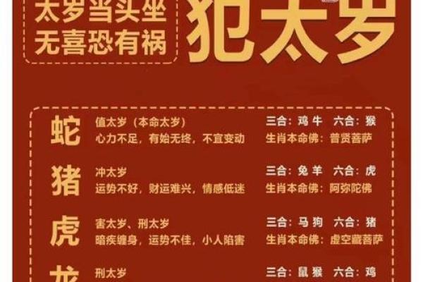 命理与生肖：揭示你的命中贵人与合适生肖的秘密