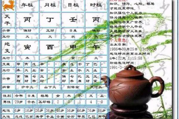 农历1987年出生的人：命理分析与生活智慧