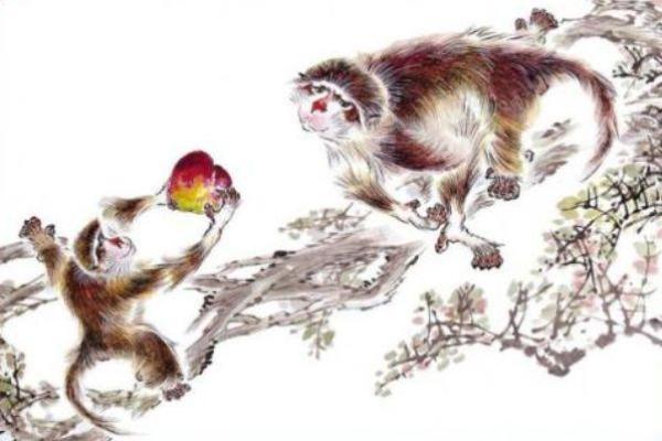 六八年出生的人命运分析与性格特点