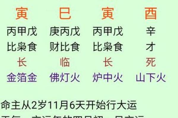 明年四月出生的孩子，属什么命？详细解析及命理影响