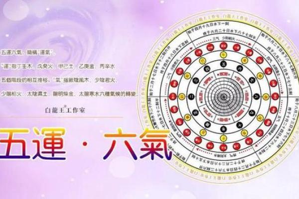 命的属性解析：如何通过年份判断命的五行属性