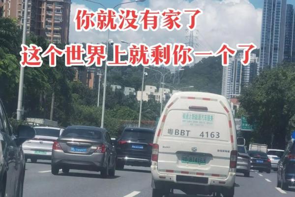 没有父母的人是什么命：孤独中的成长与追寻