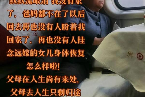 没有父母的人是什么命：孤独中的成长与追寻