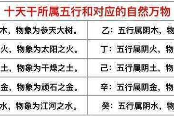 女木命配什么命最合适？深度解析与建议！