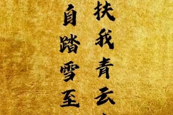 男孩命带七杀：探索命理中的神秘力量与人生机遇