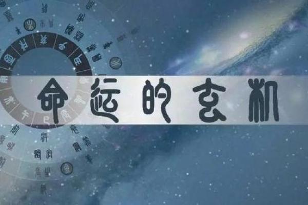 命弱与命硬：揭示你的命运密码与生活选择