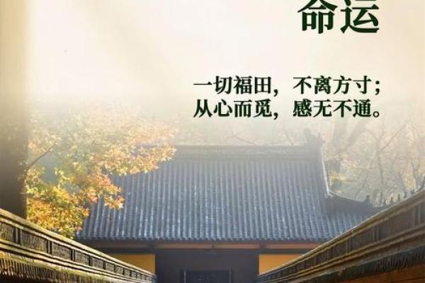 免费查询你是什么命女，揭示命运奥秘，助你找到人生方向！