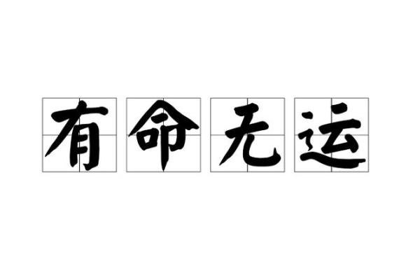 命运的桥梁：成语背后的深刻哲理与人生启示