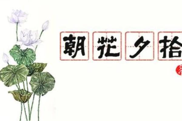 炉中火命者的网名选择与性格特征分析
