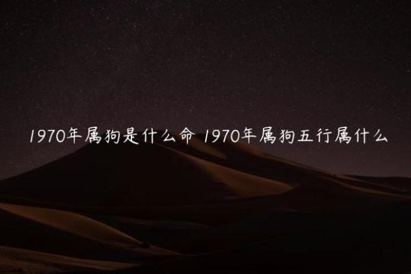 六年狗八年鸡命理分析：揭示命运背后的秘密