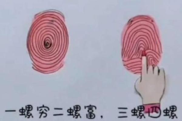 没有一个簸箕是什么命格？揭示你与众不同的命运密码！