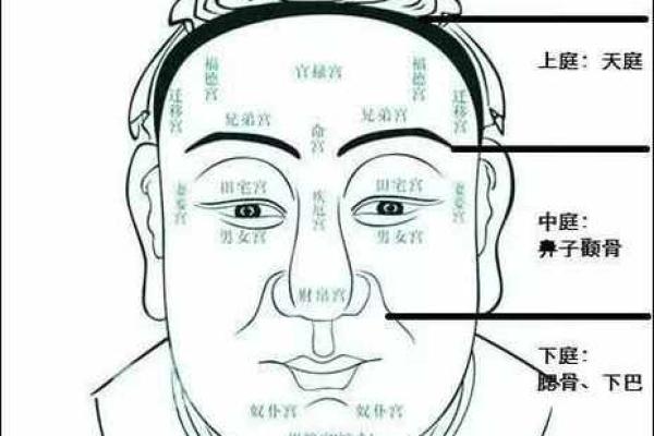 农历三月出生的人命格解析：深度解读与人生运势