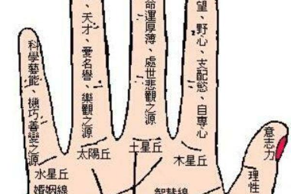 平地命木命解析：探索个性与命运的交织之美