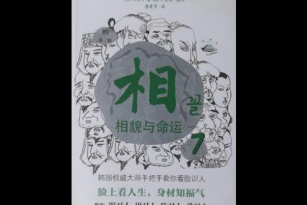 论命之歌：在旋律中探寻命运的深意与智慧