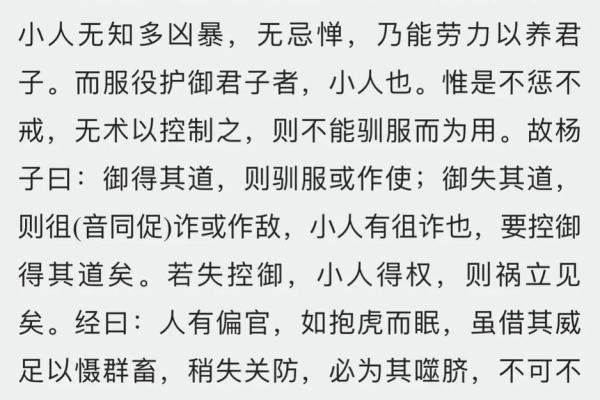 命带七杀的人生旅程：挑战与成长的双重冒险