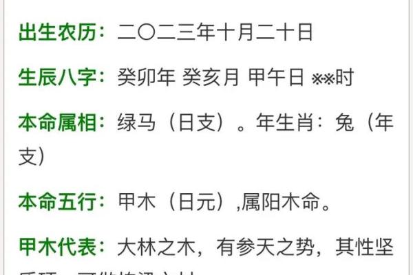 探秘名字中的五行力量：如何通过名字来解析木命之秘？