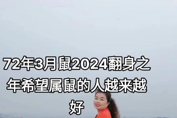 农历三月出生的鼠：命运与性格的奇妙探寻