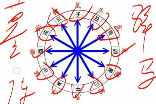 探寻命理奥秘：下一个十天的运势与指引