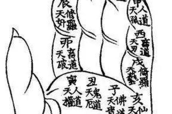 探寻命理奥秘：下一个十天的运势与指引