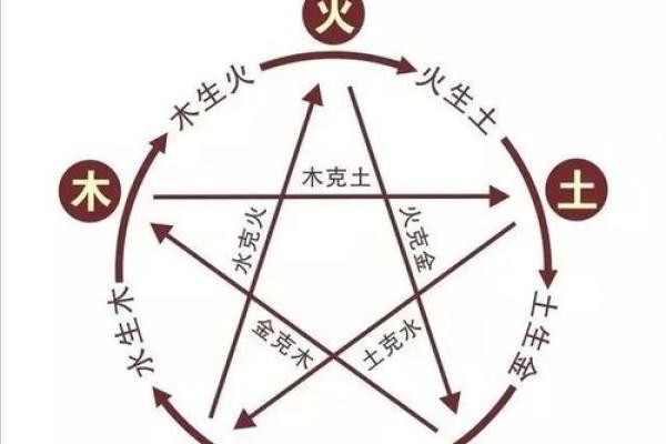 男水女土的孩子命运解析：如何培养更优质的未来！