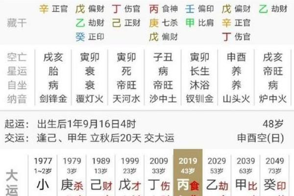 命格中食伤透出的奥秘与解读