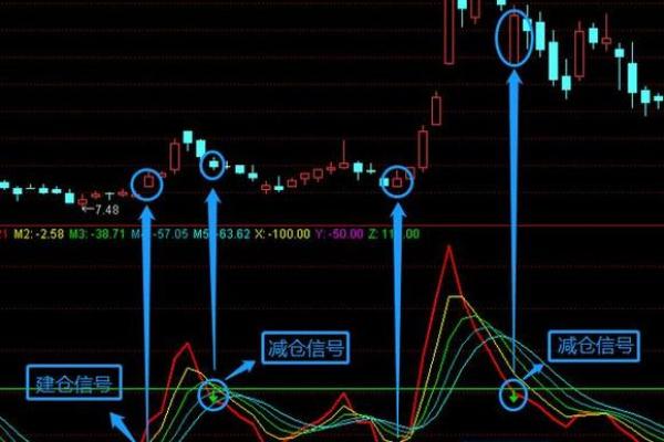 六月五号出生的人：命格解析与人生启示