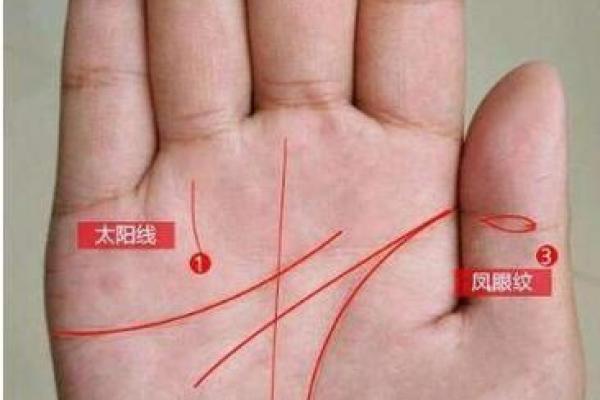 命格解析：揭示命强女人的秘密与魅力