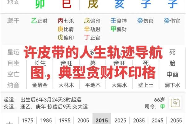 龙年出生者的八字命格解析：掌握命理，轻松导航人生