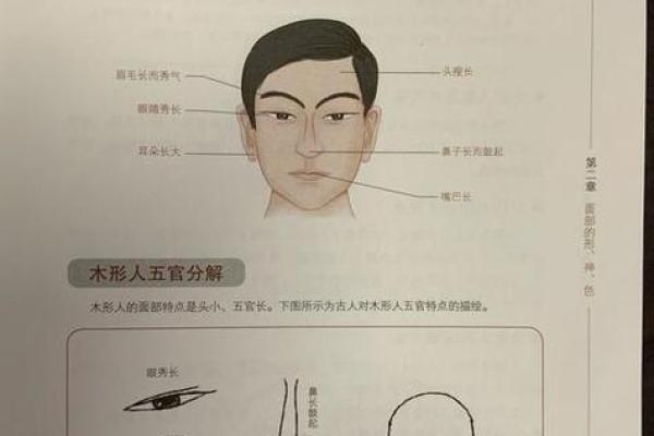 探索木命人的最佳搭配与生活指南，让你人生更加喜乐满满